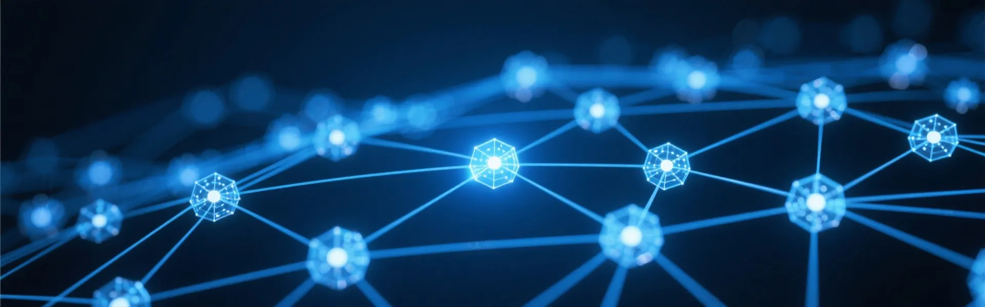 Data Network Background